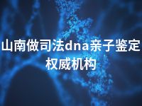 山南做司法dna亲子鉴定权威机构