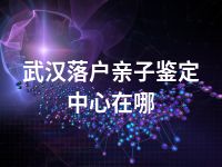 武汉落户亲子鉴定中心在哪