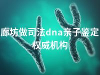 廊坊做司法dna亲子鉴定权威机构