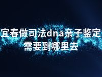 宜春做司法dna亲子鉴定需要到哪里去