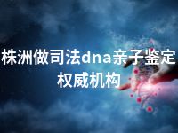 株洲做司法dna亲子鉴定权威机构