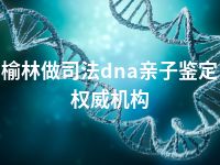 榆林做司法dna亲子鉴定权威机构