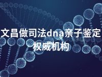 文昌做司法dna亲子鉴定权威机构