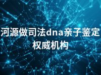 河源做司法dna亲子鉴定权威机构