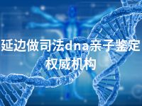 延边做司法dna亲子鉴定权威机构