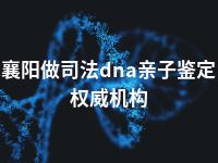 襄阳做司法dna亲子鉴定权威机构