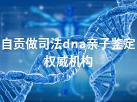 自贡做司法dna亲子鉴定权威机构