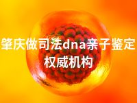 肇庆做司法dna亲子鉴定权威机构