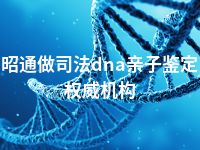 昭通做司法dna亲子鉴定权威机构