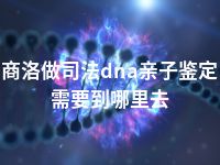 商洛做司法dna亲子鉴定需要到哪里去