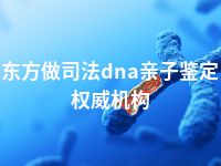 东方做司法dna亲子鉴定权威机构