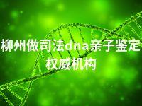 柳州做司法dna亲子鉴定权威机构