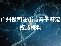 广州做司法dna亲子鉴定权威机构