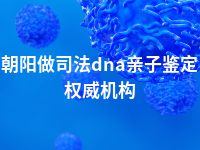 朝阳做司法dna亲子鉴定权威机构