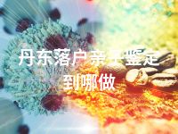 丹东落户亲子鉴定到哪做