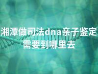 湘潭做司法dna亲子鉴定需要到哪里去