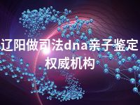 辽阳做司法dna亲子鉴定权威机构