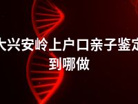 大兴安岭上户口亲子鉴定到哪做