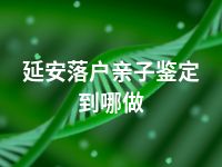 延安落户亲子鉴定到哪做