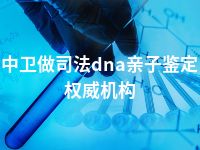 中卫做司法dna亲子鉴定权威机构