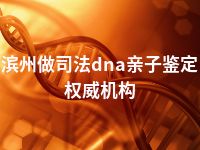 滨州做司法dna亲子鉴定权威机构