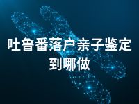 吐鲁番落户亲子鉴定到哪做