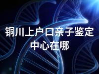 铜川上户口亲子鉴定中心在哪