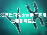 淄博做司法dna亲子鉴定需要到哪里去