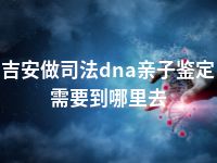 吉安做司法dna亲子鉴定需要到哪里去