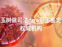 玉树做司法dna亲子鉴定权威机构