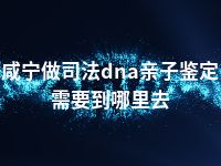 咸宁做司法dna亲子鉴定需要到哪里去