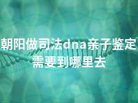 朝阳做司法dna亲子鉴定需要到哪里去