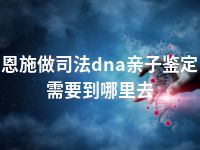 恩施做司法dna亲子鉴定需要到哪里去