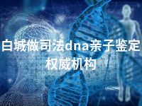 白城做司法dna亲子鉴定权威机构