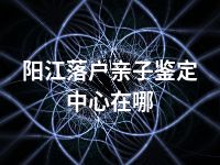 阳江落户亲子鉴定中心在哪