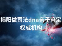 揭阳做司法dna亲子鉴定权威机构