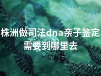 株洲做司法dna亲子鉴定需要到哪里去