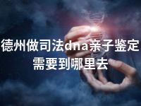 德州做司法dna亲子鉴定需要到哪里去