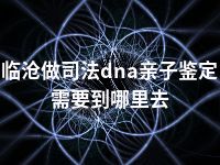 临沧做司法dna亲子鉴定需要到哪里去