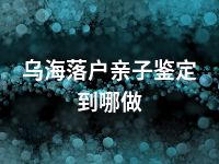 乌海落户亲子鉴定到哪做