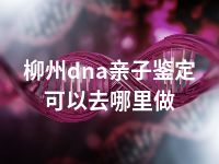 柳州dna亲子鉴定可以去哪里做