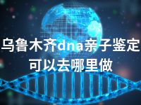 乌鲁木齐dna亲子鉴定可以去哪里做