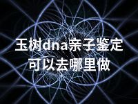 玉树dna亲子鉴定可以去哪里做