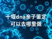 十堰dna亲子鉴定可以去哪里做