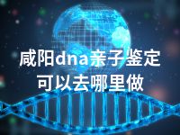 咸阳dna亲子鉴定可以去哪里做