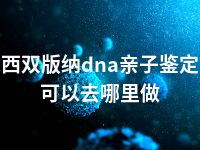 西双版纳dna亲子鉴定可以去哪里做