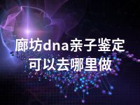 廊坊dna亲子鉴定可以去哪里做