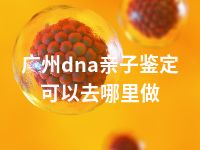 广州dna亲子鉴定可以去哪里做