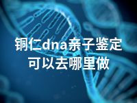 铜仁dna亲子鉴定可以去哪里做