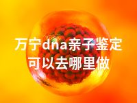 万宁dna亲子鉴定可以去哪里做